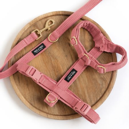 Set Y-Strap-Geschirr & Leine - Sunkissed Coral