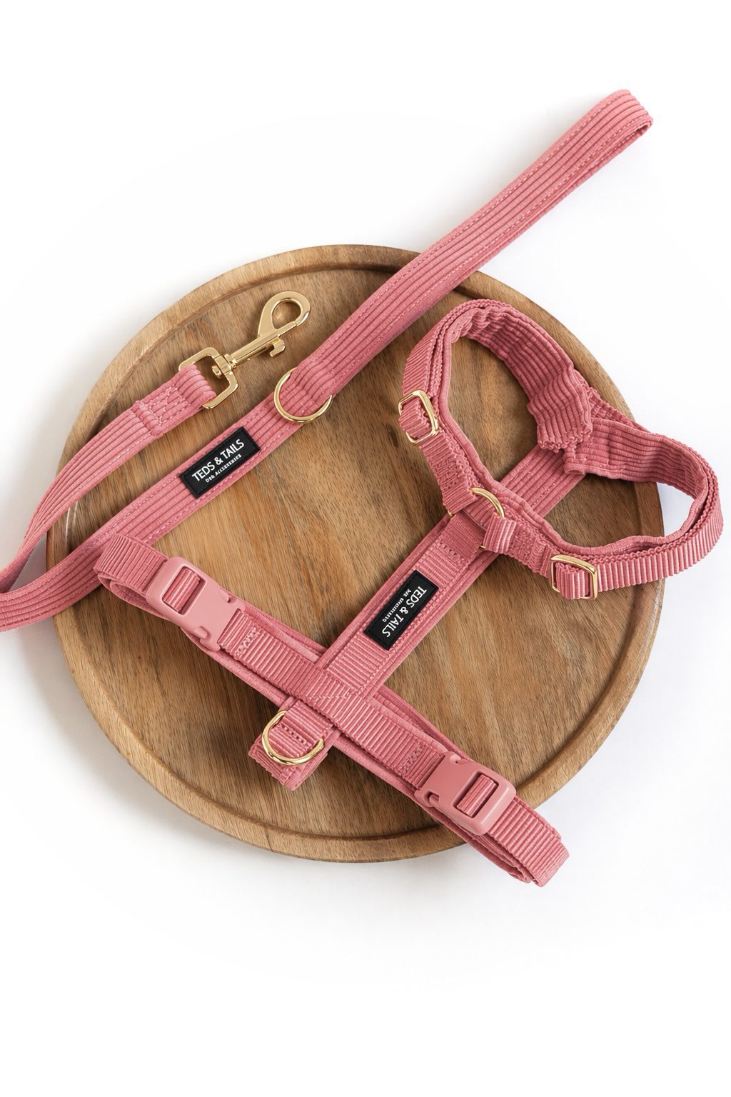 Set Y-Strap-Geschirr & Leine - Sunkissed Coral