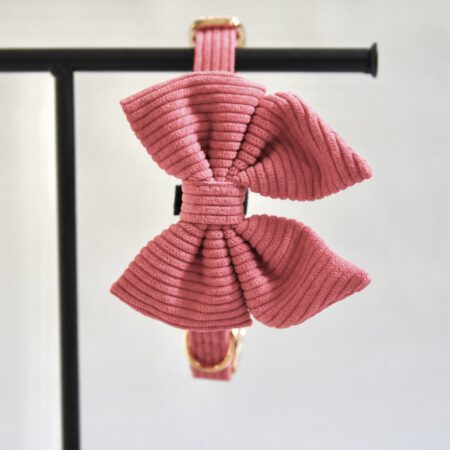 Set Halsband & Hundefliege - Sunkissed Coral