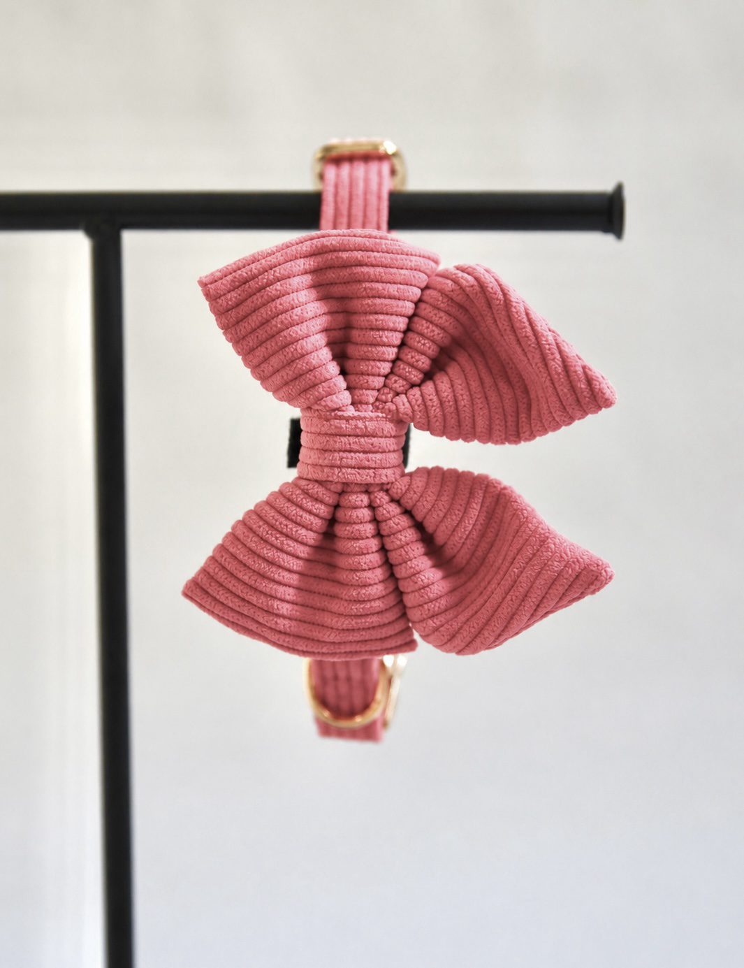 Set Halsband & Hundefliege - Sunkissed Coral