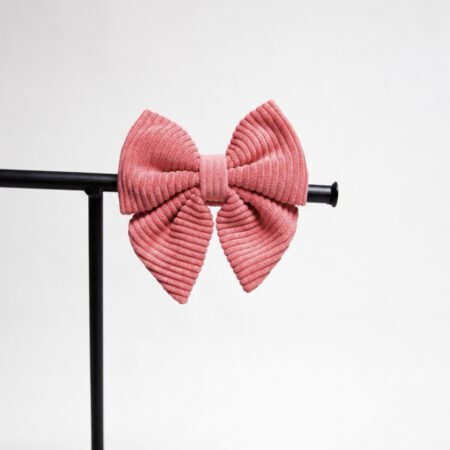 Hundefliege - Sunkissed Coral