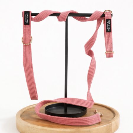 Set Halsband & Leine - Sunkissed Coral