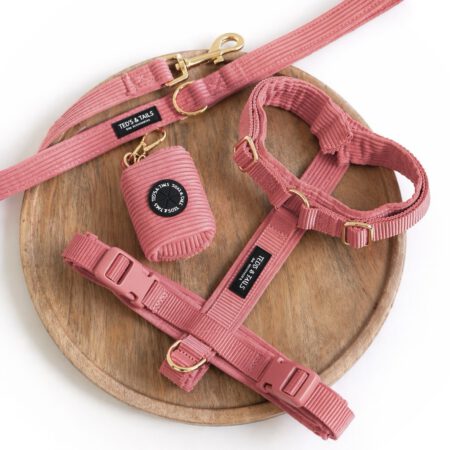 Set Y-Strap-Geschirr, Leine & Kotbeutelhalter - Sunkissed Coral