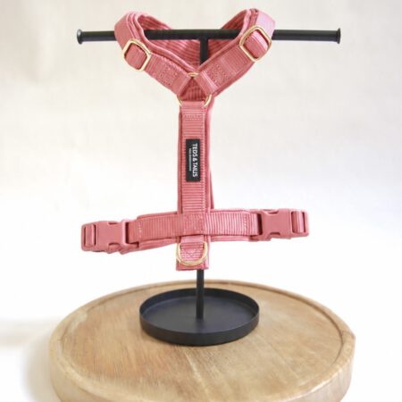 Strap-Y-Hundegeschirr - Sunkissed Coral