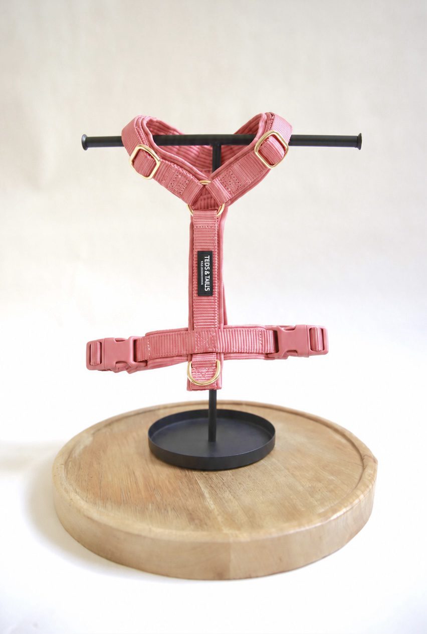 Strap-Y-Hundegeschirr - Sunkissed Coral