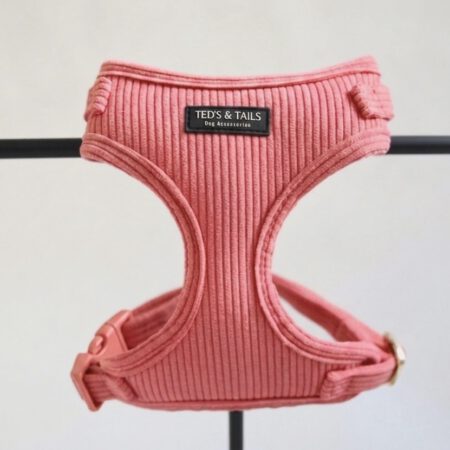 Hundegeschirr - Sunkissed Coral