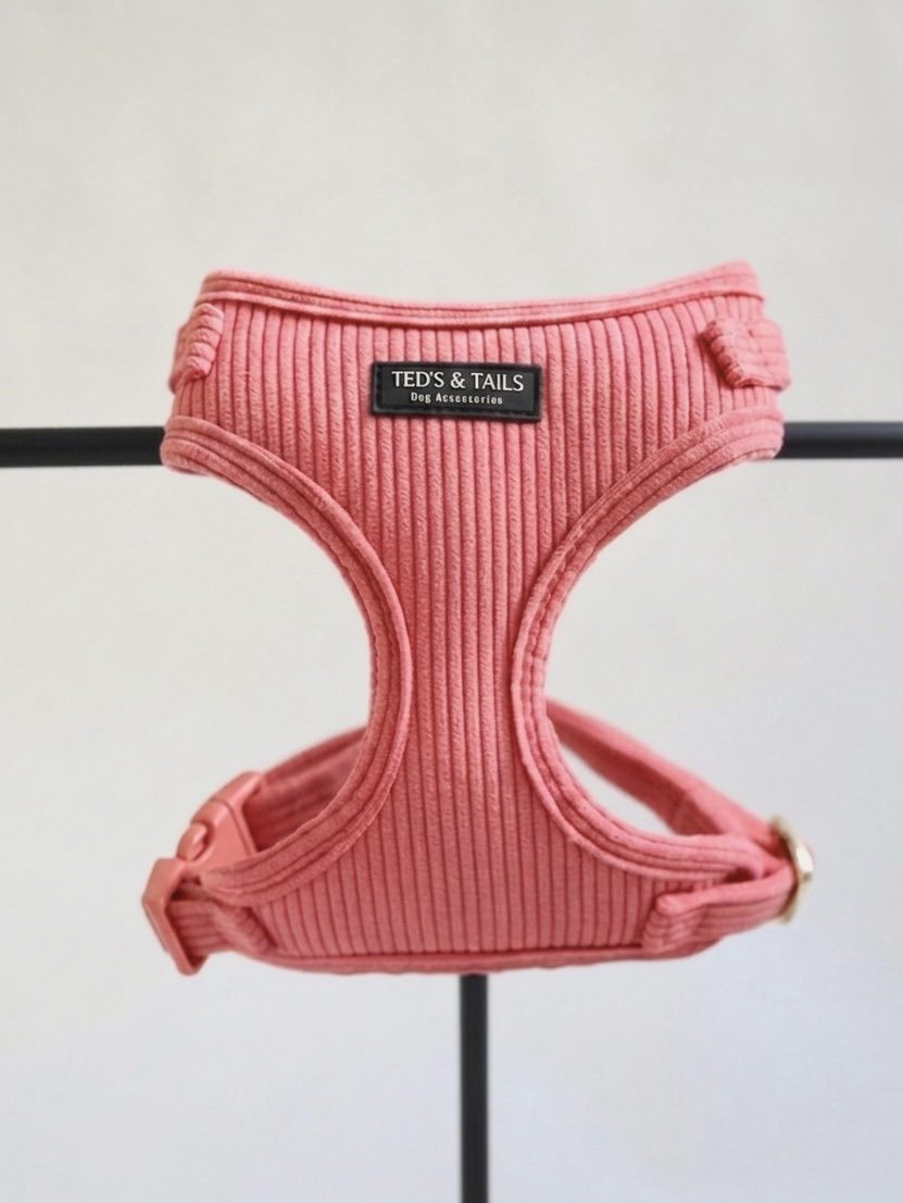 Hundegeschirr - Sunkissed Coral