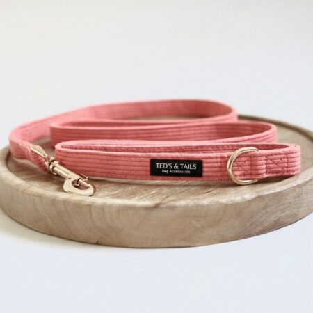 Hundeleine - Sunkissed Coral