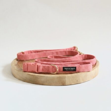 Handsfree/verstellbare Hundeleine - Sunkissed Coral