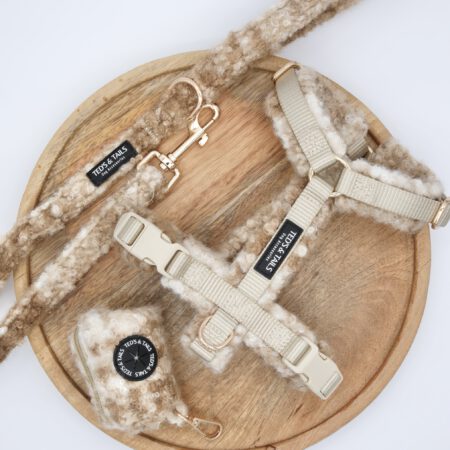 Set Y-Strap-Geschirr, Leine & Kotbeutelhalter - Chai Latte Checks