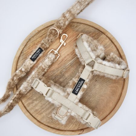 Set Y-Strap-Geschirr & Leine - Chai Latte Checks