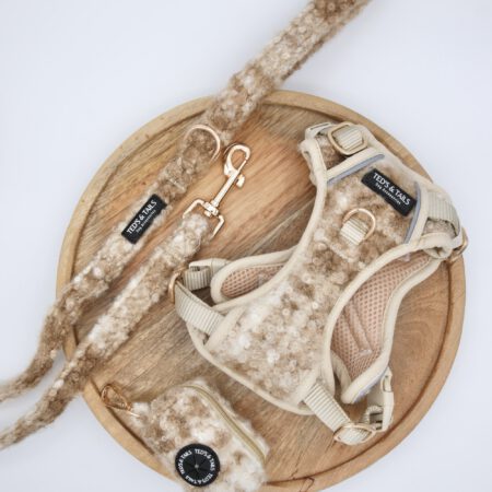 Set Adventure Y-Hundegeschirr, Leine & Kotbeutelhalter - Chai Latte Checks